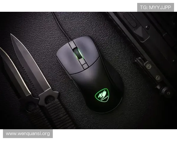 凯发K8电竞用户体验提升指南：优化游戏设置与提升竞技水平的方法